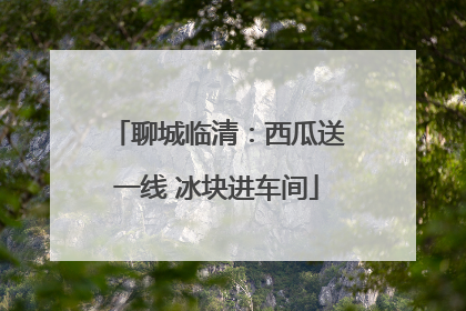 聊城临清：西瓜送一线 冰块进车间
