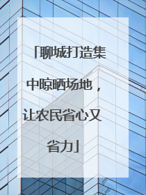 聊城打造集中晾晒场地，让农民省心又省力