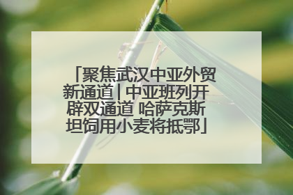 聚焦武汉中亚外贸新通道│中亚班列开辟双通道 哈萨克斯坦饲用小麦将抵鄂
