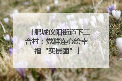 肥城仪阳街道下三合村：党群连心绘幸福“实景图”