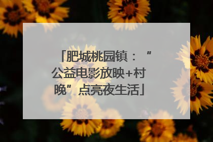 肥城桃园镇：“公益电影放映+村晚”点亮夜生活