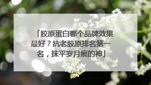 胶原蛋白哪个品牌效果最好？抗老胶原排名第一名，抹平岁月痕的神