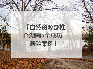 自然资源部推介湖南5个成功避险案例