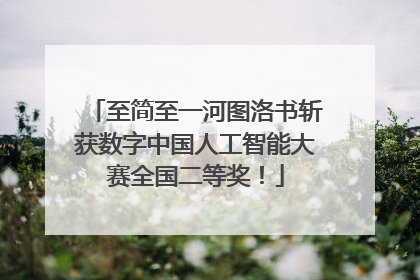 至简至一河图洛书斩获数字中国人工智能大赛全国二等奖！