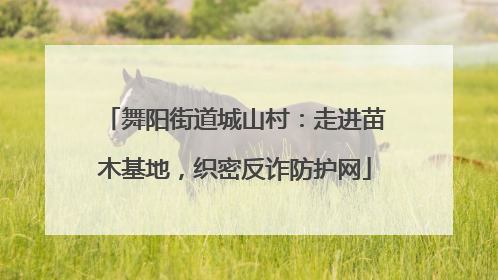 舞阳街道城山村：走进苗木基地，织密反诈防护网