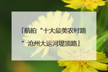 航拍“十大最美农村路”沧州大运河堤顶路