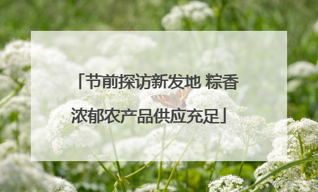 节前探访新发地 粽香浓郁农产品供应充足