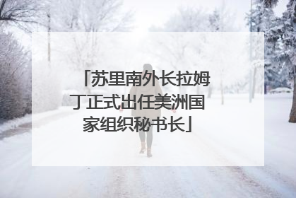 苏里南外长拉姆丁正式出任美洲国家组织秘书长