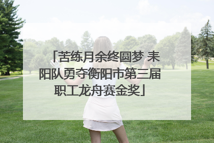 苦练月余终圆梦 耒阳队勇夺衡阳市第三届职工龙舟赛金奖