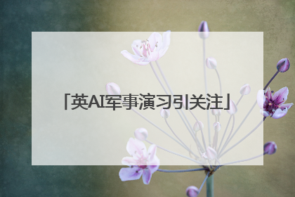 英AI军事演习引关注