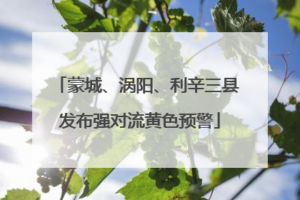 蒙城、涡阳、利辛三县发布强对流黄色预警