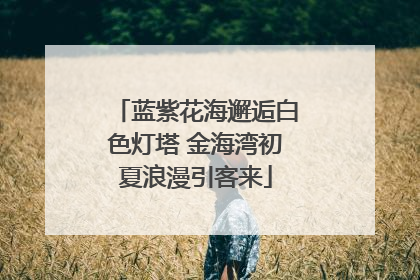蓝紫花海邂逅白色灯塔 金海湾初夏浪漫引客来