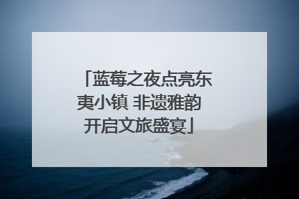 蓝莓之夜点亮东夷小镇 非遗雅韵开启文旅盛宴