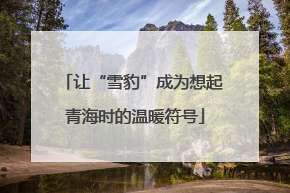 让“雪豹”成为想起青海时的温暖符号
