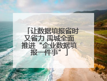 让数据填报省时又省力 禹城全面推进“企业数据填报一件事”