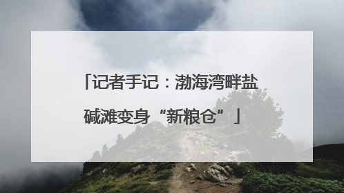 记者手记：渤海湾畔盐碱滩变身“新粮仓”