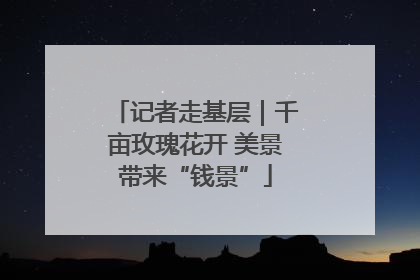 记者走基层｜千亩玫瑰花开 美景带来“钱景”