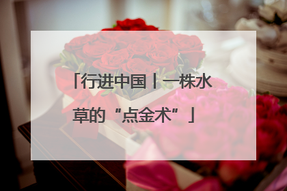 行进中国丨一株水草的“点金术”