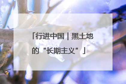 行进中国｜黑土地的“长期主义”