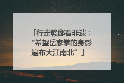 行走赣鄱看非遗：“希望岳家拳的身影遍布大江南北”