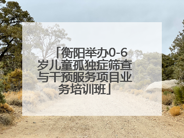 衡阳举办0-6岁儿童孤独症筛查与干预服务项目业务培训班