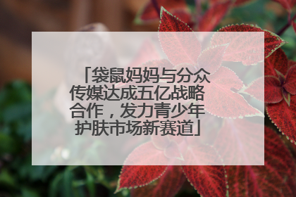 袋鼠妈妈与分众传媒达成五亿战略合作，发力青少年护肤市场新赛道