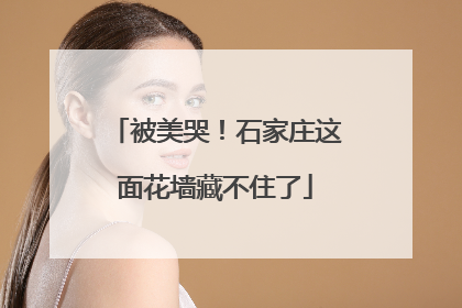 被美哭！石家庄这面花墙藏不住了