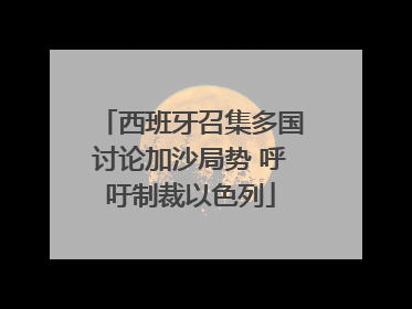 西班牙召集多国讨论加沙局势 呼吁制裁以色列