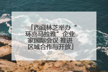 西藏林芝举办“环喜马拉雅”企业家国际会议 推进区域合作与开放