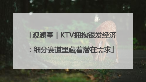 观澜亭｜KTV拥抱银发经济：细分赛道里藏着潜在需求