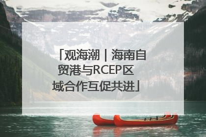 观海潮｜海南自贸港与RCEP区域合作互促共进