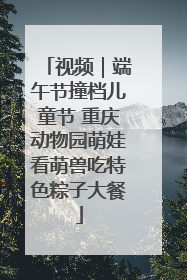 视频｜端午节撞档儿童节 重庆动物园萌娃看萌兽吃特色粽子大餐