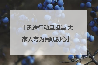 迅速行动显担当 大家人寿为民践初心