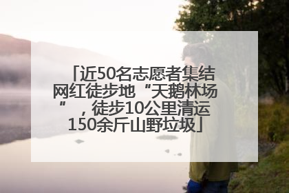 近50名志愿者集结网红徒步地“天鹅林场”，徒步10公里清运150余斤山野垃圾