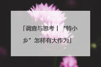 调查与思考丨“特小乡”怎样有大作为