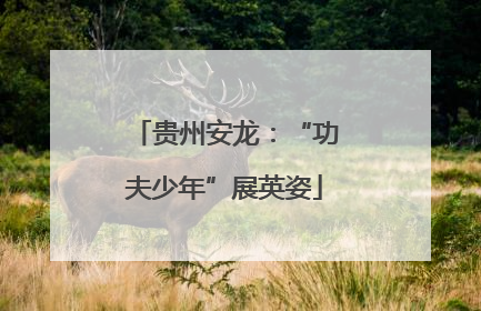 贵州安龙：“功夫少年”展英姿