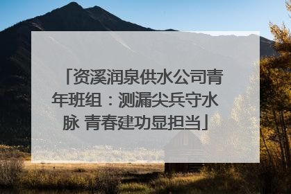 资溪润泉供水公司青年班组：测漏尖兵守水脉 青春建功显担当