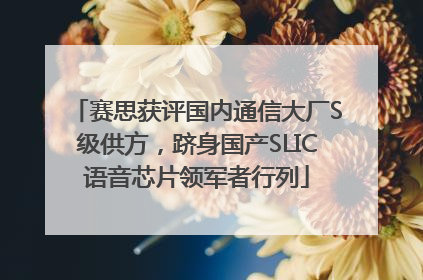 赛思获评国内通信大厂S级供方，跻身国产SLIC语音芯片领军者行列