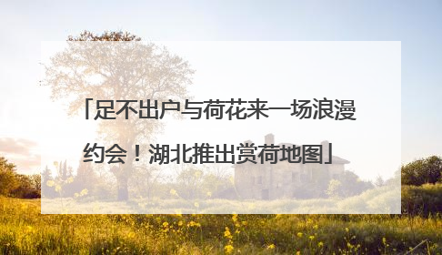 足不出户与荷花来一场浪漫约会！湖北推出赏荷地图