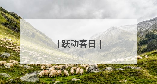 跃动春日｜美好少年