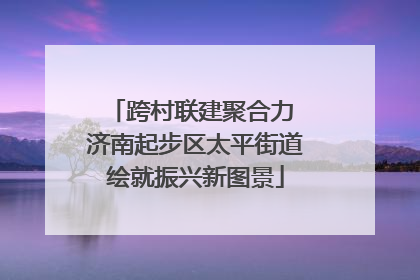 跨村联建聚合力 济南起步区太平街道绘就振兴新图景