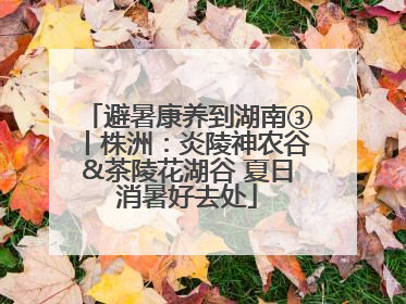 避暑康养到湖南③丨株洲：炎陵神农谷&茶陵花湖谷 夏日消暑好去处