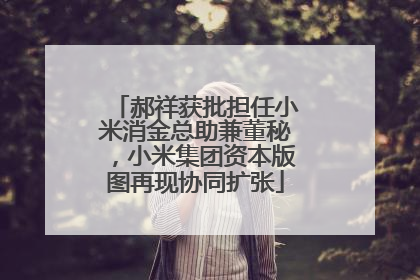 郝祥获批担任小米消金总助兼董秘，小米集团资本版图再现协同扩张
