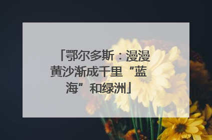 鄂尔多斯：漫漫黄沙渐成千里“蓝海”和绿洲