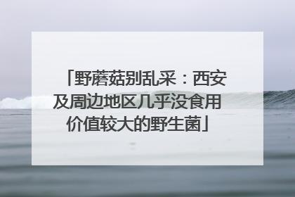 野蘑菇别乱采：西安及周边地区几乎没食用价值较大的野生菌