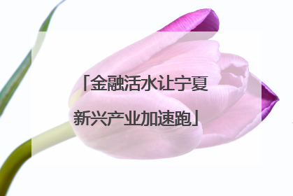 金融活水让宁夏新兴产业加速跑
