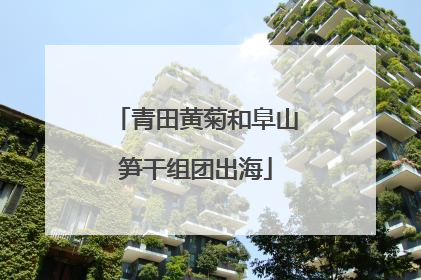 青田黄菊和阜山笋干组团出海
