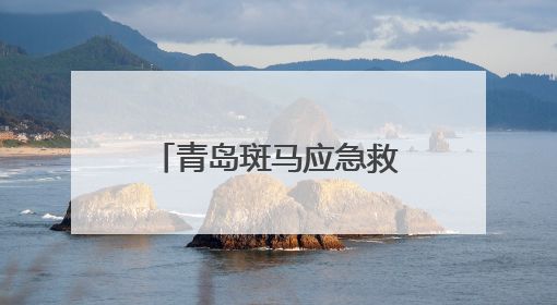 青岛斑马应急救援队公益长跑从未停歇 七载坚守绘就城市温暖底色