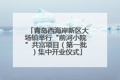 青岛西海岸新区大场镇举行“前河小院”共富项目（第一批）集中开业仪式
