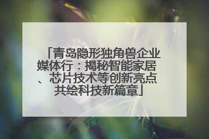 青岛隐形独角兽企业媒体行：揭秘智能家居、芯片技术等创新亮点 共绘科技新篇章